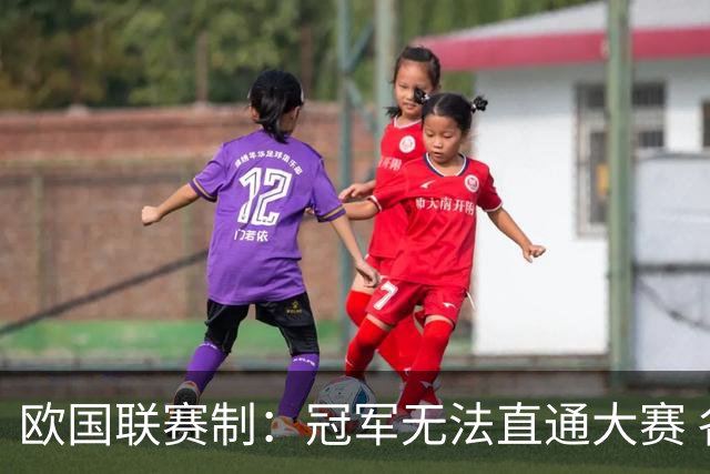 欧国联赛制：冠军无法直通大赛 各联赛存升降级